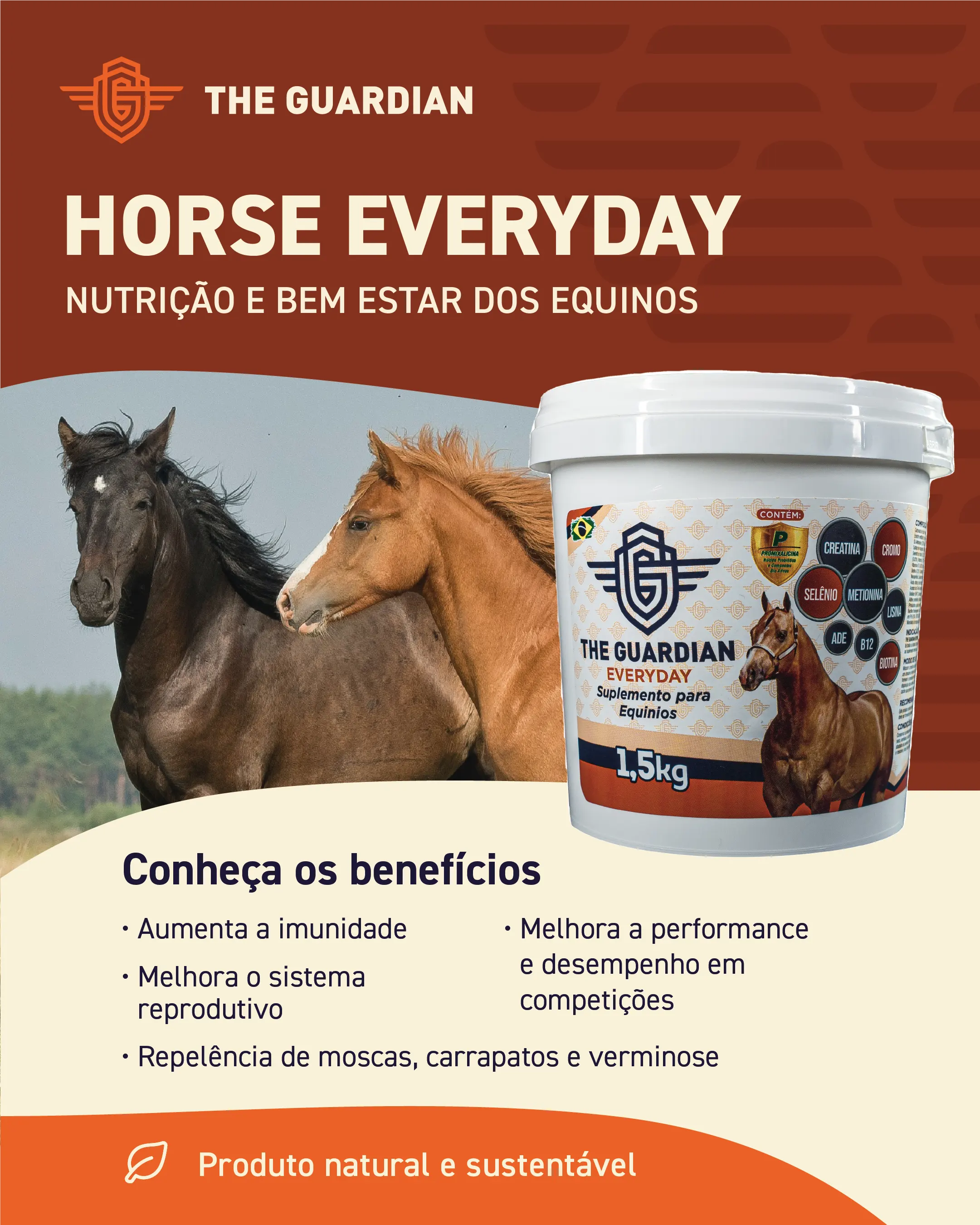 horse-every-day-gallery-e3f8f9f0-bf52-468c-b3e5-587344761ac3