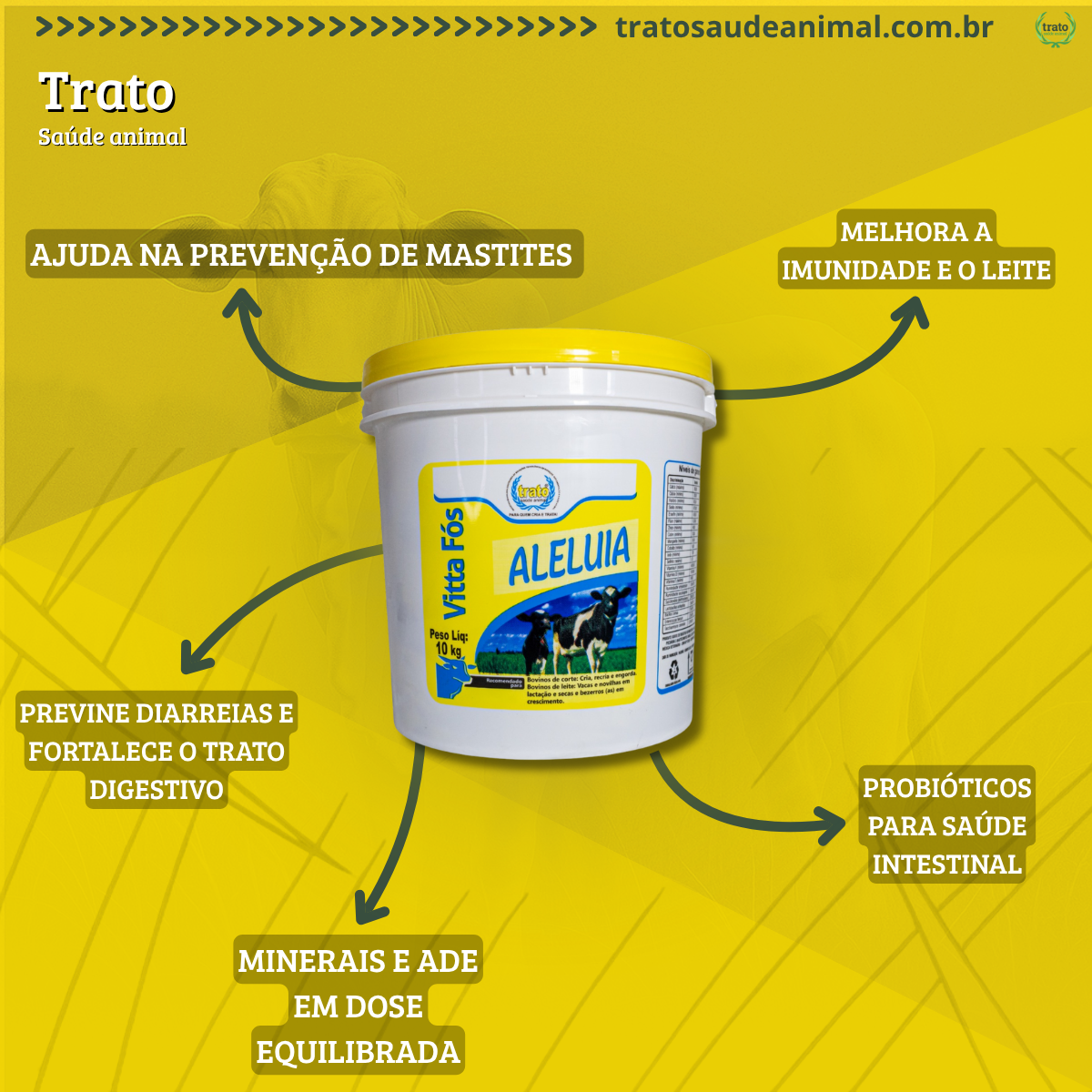vitta-fos-aleluia-gallery-e0f5f4d3-df02-4b46-9e0c-873245c5e9d0