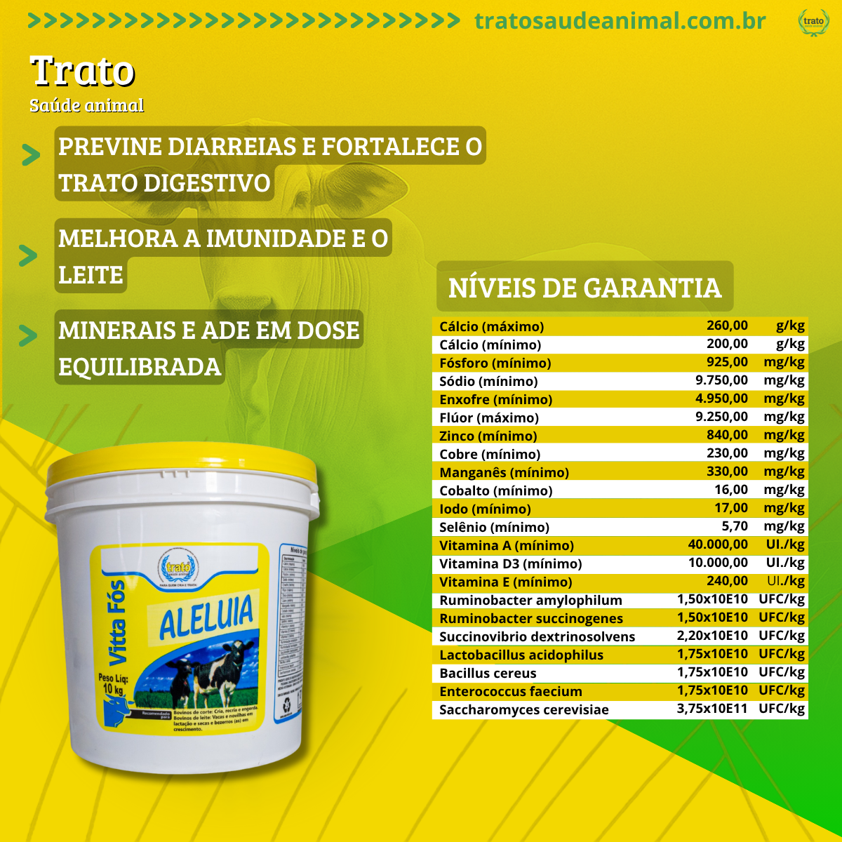vitta-fos-aleluia-gallery-4f945a79-0f12-4b52-b173-b6779bc0fc3a