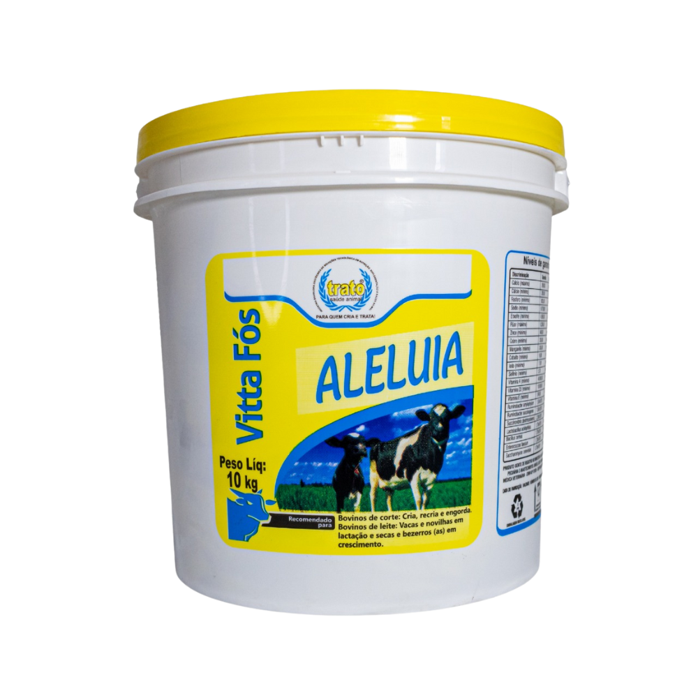 vitta-fos-aleluia-gallery-f39ee57a-9611-47eb-9053-541d3b6b520e