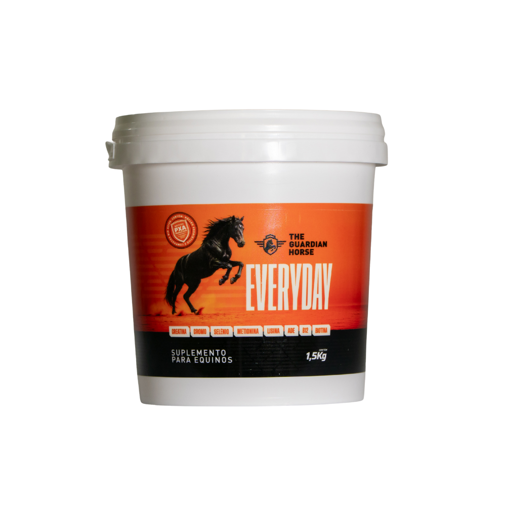 horse-every-day-gallery-97430aa1-3826-465d-87ff-9ca30723dcfe